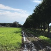 campusroute